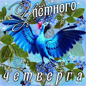 Яркая открытка с синей птицей на четверг