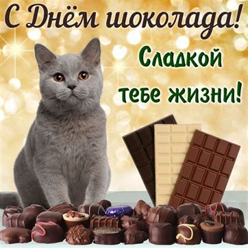 Милая открытка с котом на День шоколада