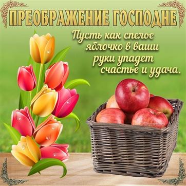 Открытка с яблоками и тюльпанами на Преображение