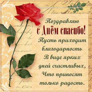 Открытка на День спасибо с красной розой