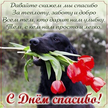 Прикольная открытка с собакой с тюльпанами на День спасибо