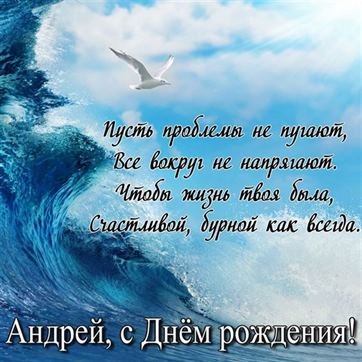 Красивая открытка с чайкой в море на День рождения Андрея