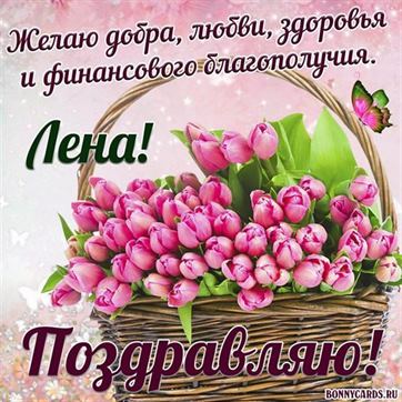 Красивая открытка с тюльпанами и поздравлением Лене
