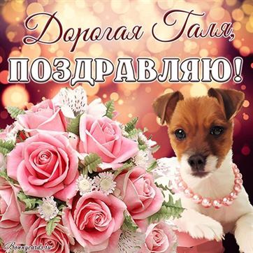 Прикольная открытка с собачкой на День рождения Галине