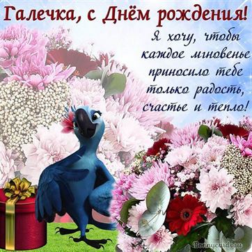 Смешная открытка с птицей на День рождения Галины