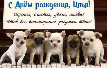 Трогательная открытка с щенками на День рождения Ильи