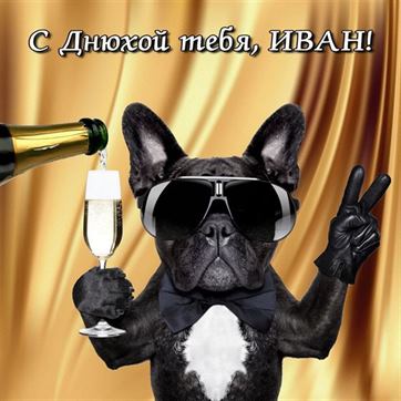 Смешная открытка с собакой на День рождения Ивана
