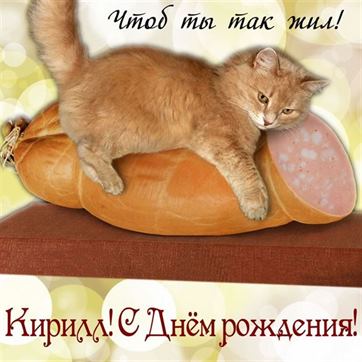 Прикольная открытка с котом на колбасе Кириллу
