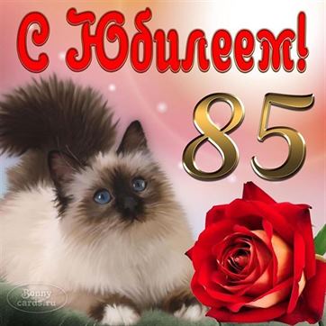 Картинка с милым котиком на юбилей 85 лет