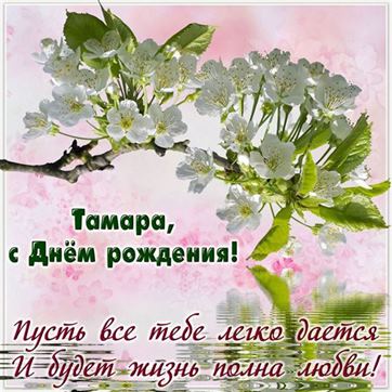 Цветущая ветка Тамаре ко Дню рождения