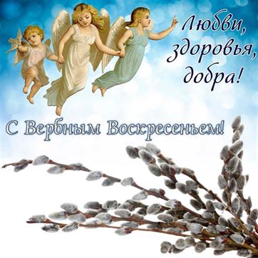 Красивая открытка на Вербное Воскресенье с ангелами и вербой